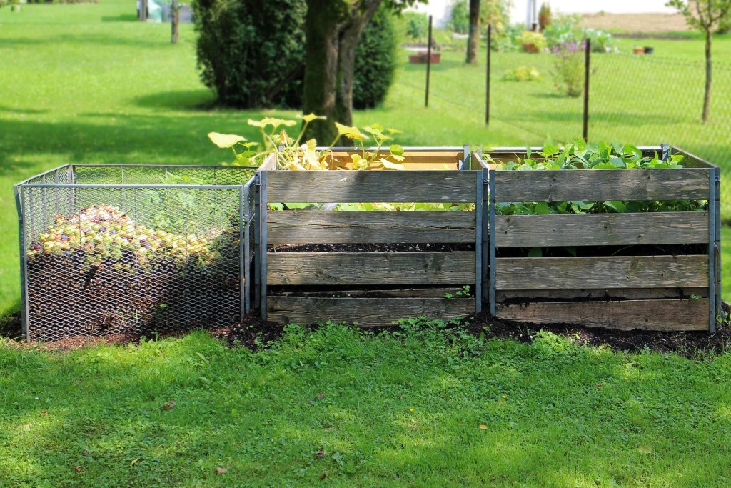 organic compost