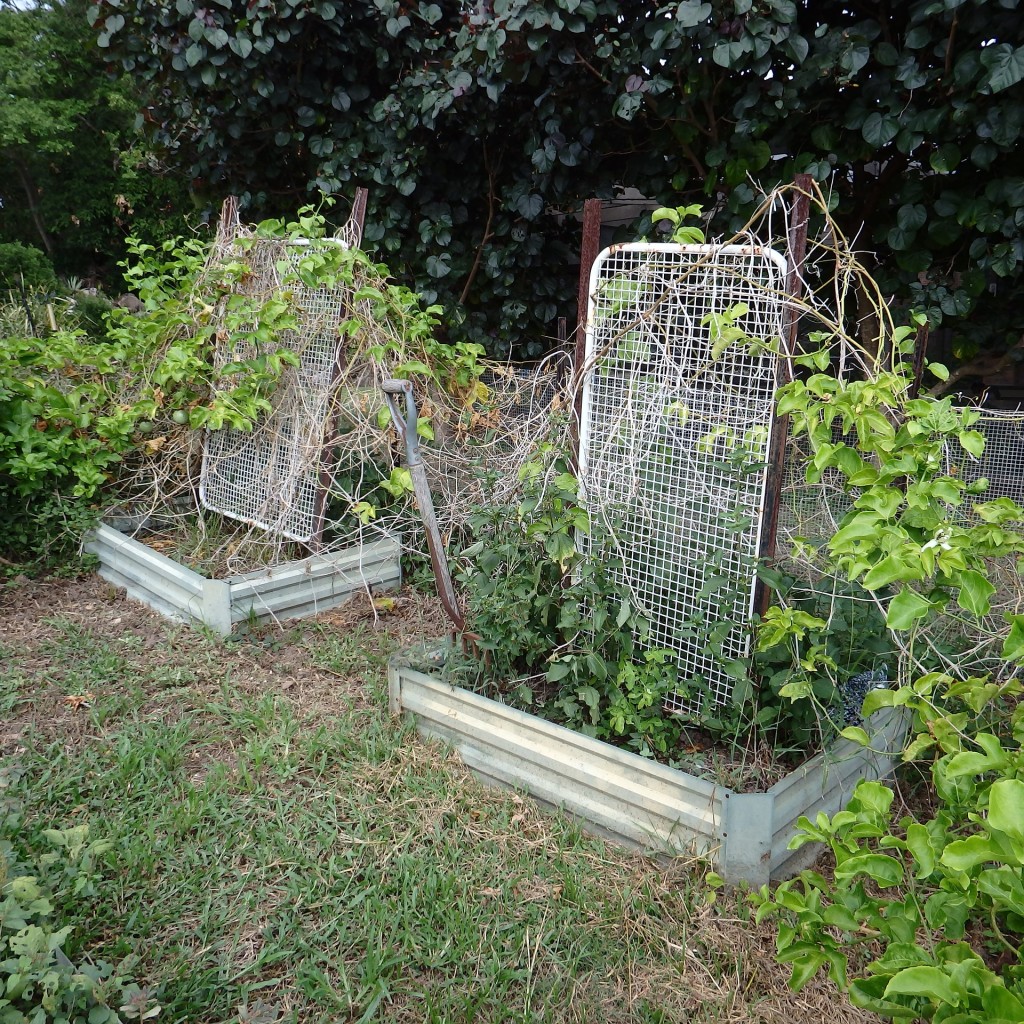 gardenweeds