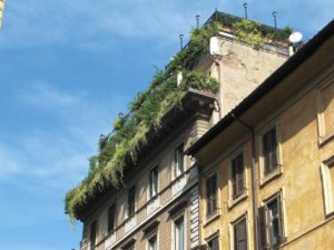 balcony-garden